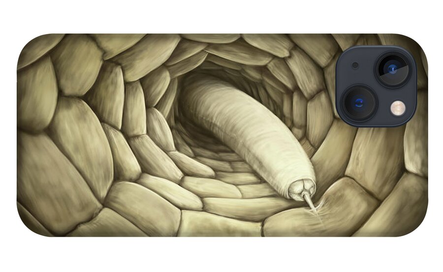 Nematode iPhone 13 Case featuring the digital art Root feeding nematode by Kate Solbakk