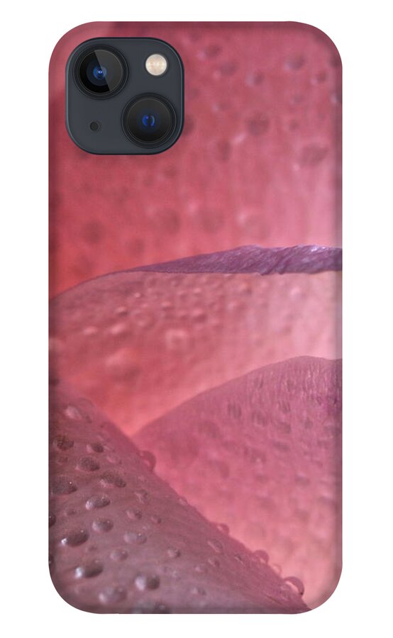Macro iPhone 13 Case featuring the photograph Rose 4069 by Julie Powell