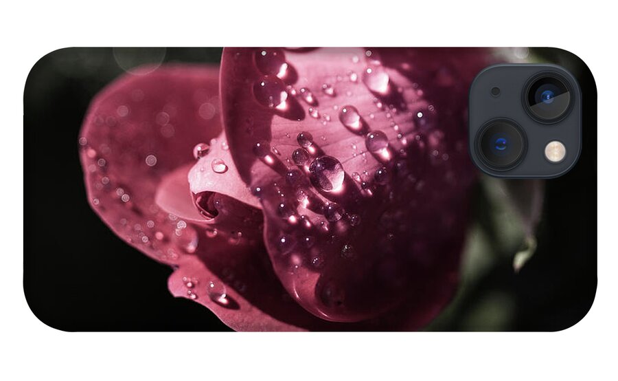 Flower iPhone 13 Case featuring the photograph Rose by David Beechum
