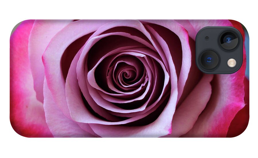 Rose iPhone 13 Case featuring the photograph Rose Swirl by Mary Anne Delgado