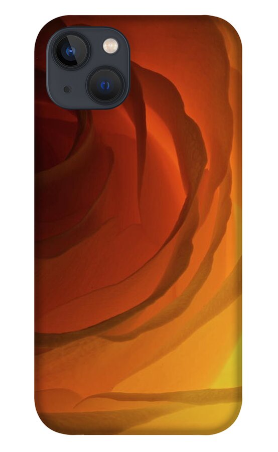 Macro iPhone 13 Case featuring the photograph Rose Yellow 2295 by Julie Powell