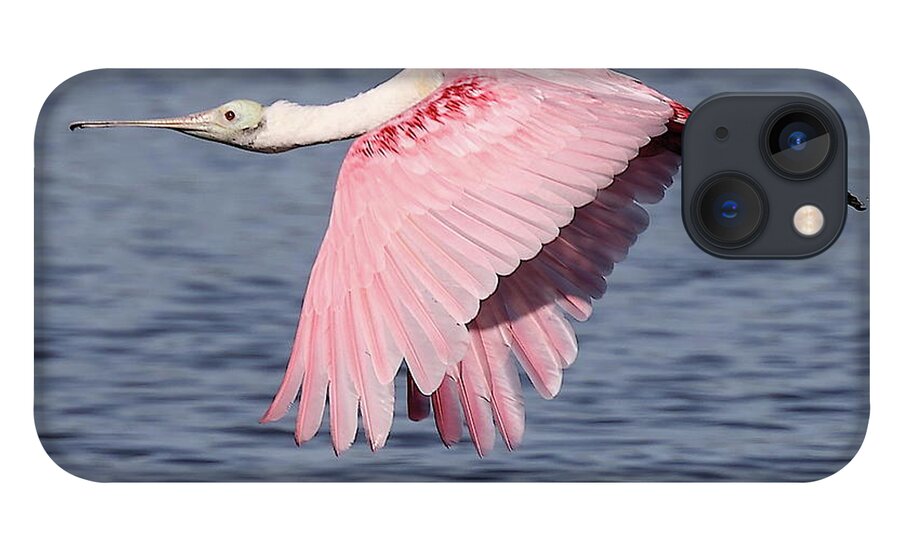 Roseate Spoonbill iPhone 13 Case featuring the photograph Roseate Spoonbill 6 by Mingming Jiang