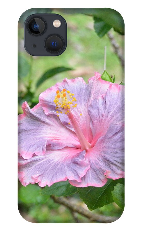 Flower iPhone 13 Case featuring the photograph Ruffled Purple Pink Hibiscus by Amy Fose