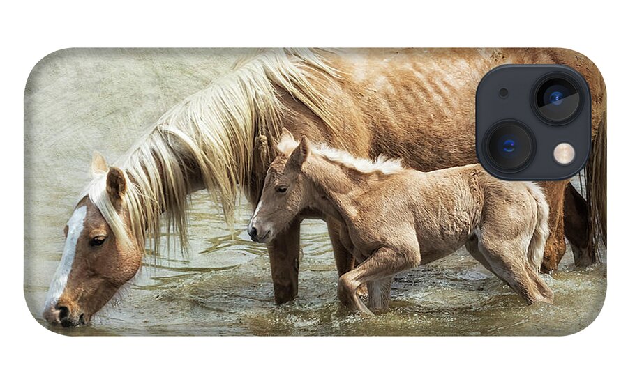 Mare And Foal iPhone 13 Case featuring the photograph Safe By Mother's Side - South Steens Mustangs by Belinda Greb
