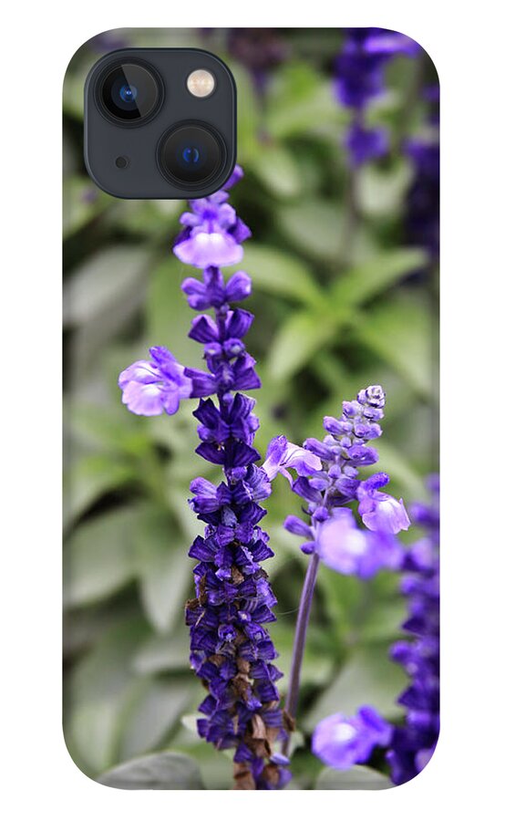 China iPhone 13 Case featuring the photograph Sage Flowers by Tanya Owens