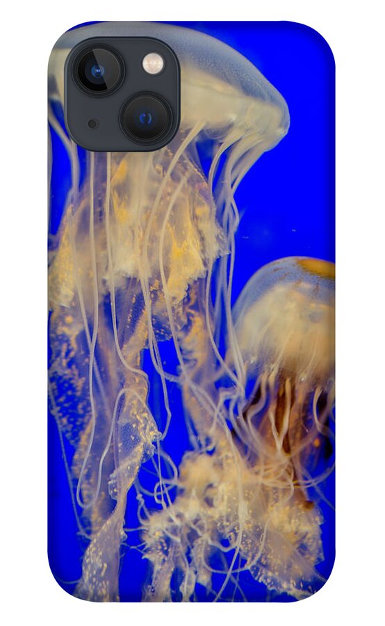 Sea Nettle iPhone 13 Case featuring the photograph Sea Nettles by WAZgriffin Digital
