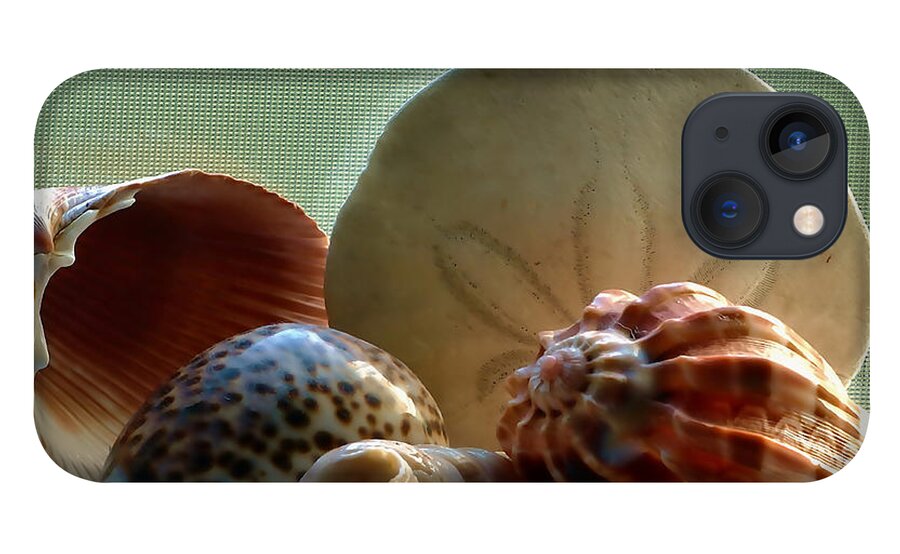 Still Life iPhone 13 Case featuring the photograph Sea Shells Window Sill by Richard Thomas
