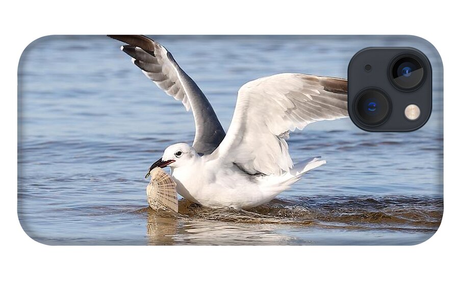 Seagull iPhone 13 Case featuring the photograph Seagull and Its Catch by Mingming Jiang