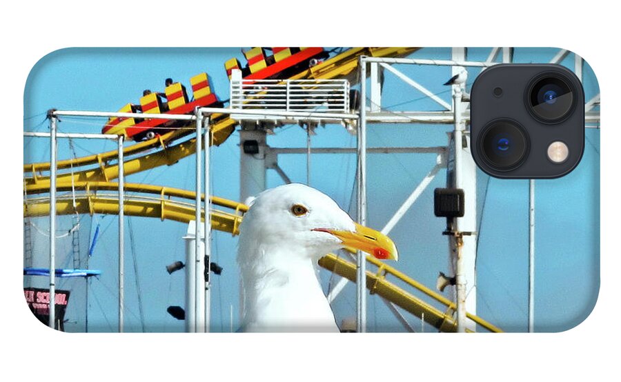Rollercoaster iPhone 13 Case featuring the photograph Seagull at the Santa Monica Pier by Eyes Of CC