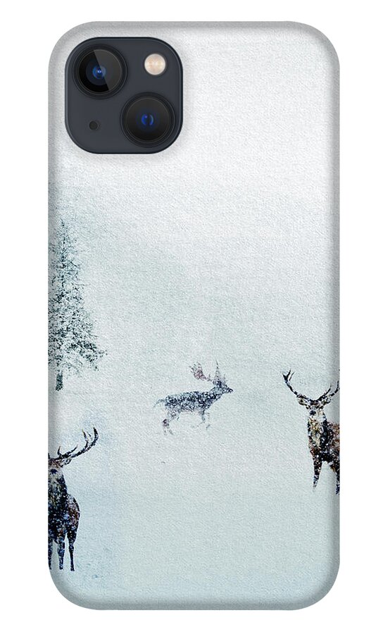 Winter Landscapes iPhone 13 Case featuring the mixed media Seeking Cover by Colleen Taylor
