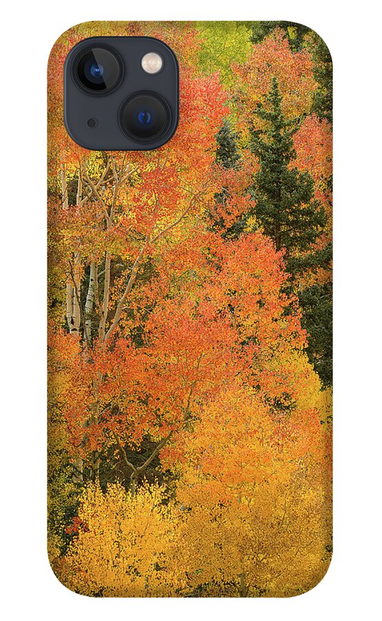 Fall iPhone 13 Case featuring the photograph Shades of Fall by Angela Moyer