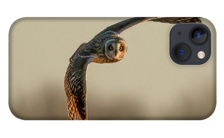 Short-eared Owl iPhone 13 Case featuring the photograph Short-eared Owl by Sandra Rust