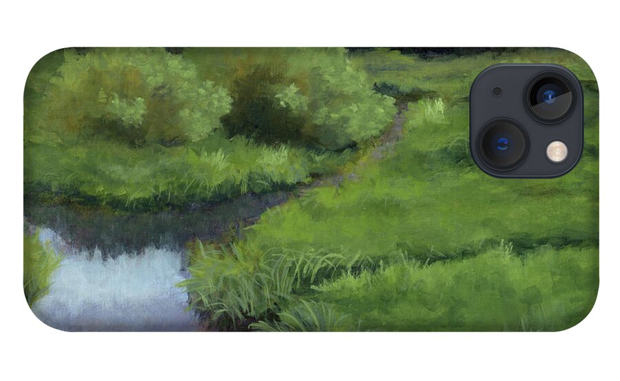 Silver Lake iPhone 13 Case featuring the painting Silver Lake Marsh by David King Studio