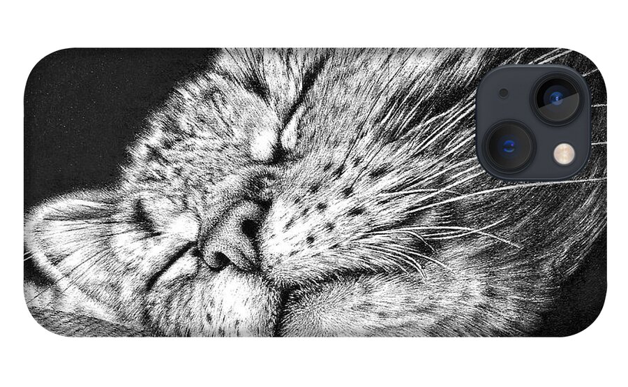 Cat iPhone 13 Case featuring the drawing Sleeping Cat by Casey 'Remrov' Vormer