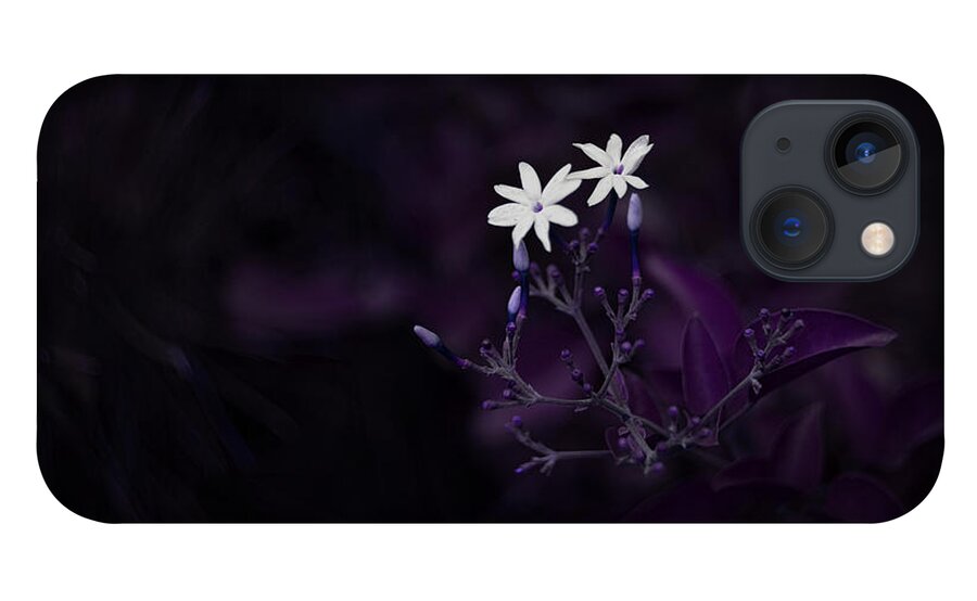 Nature Art iPhone 13 Case featuring the photograph Purple French Lilac by Gian Smith