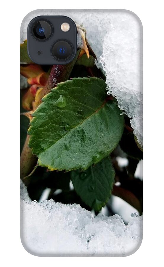 Snow iPhone 13 Case featuring the digital art Sneaking out by Yenni Harrison