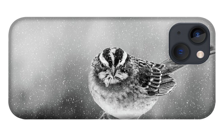 Bird iPhone 13 Case featuring the photograph Snow Again by Cathy Kovarik