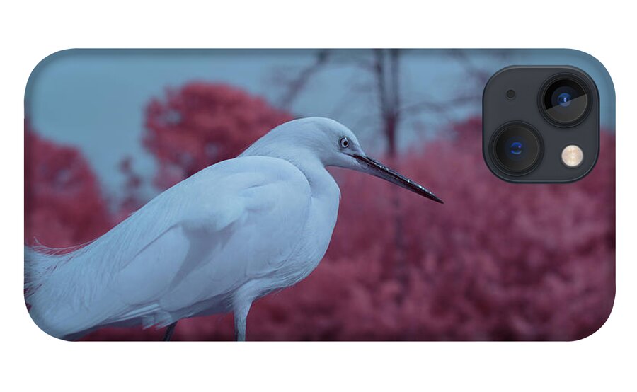 Bird iPhone 13 Case featuring the photograph Snowy Egret in Infrared by Carolyn Hutchins