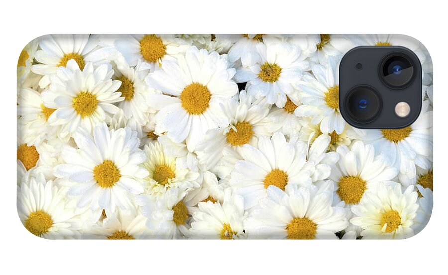 So Many Daisies iPhone 13 Case featuring the photograph So Many Daisies by Patty Colabuono