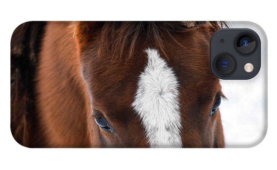 Winter iPhone 13 Case featuring the photograph Soft Beauty by Listen To Your Horse