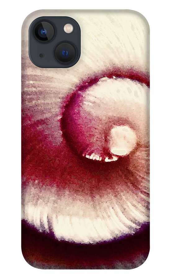Shell iPhone 13 Case featuring the photograph Soft Serve by Kerry Obrist