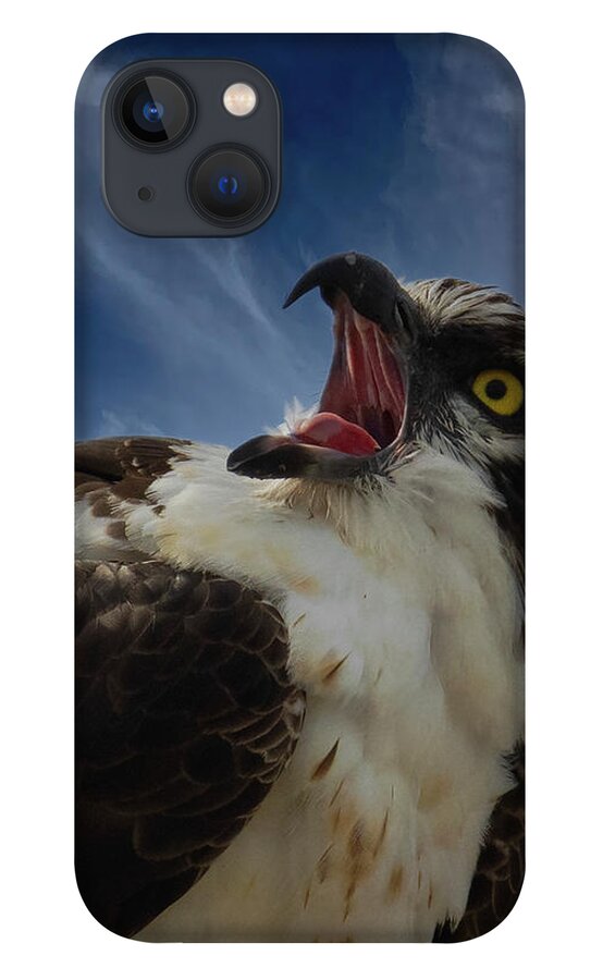 Osprey iPhone 13 Case featuring the photograph Sound the Alarm by RD Allen
