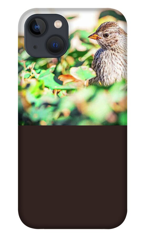 Bird iPhone 13 Case featuring the photograph White crowned sparrow by Tahmina Watson