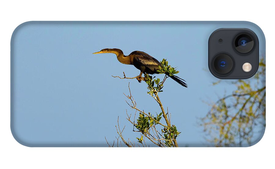 R5-2633 iPhone 13 Case featuring the photograph Speedster by Gordon Elwell