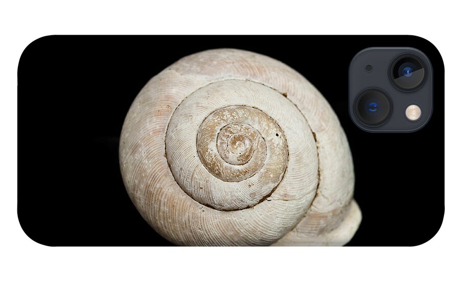 Black iPhone 13 Case featuring the photograph Spiral Shell by Amelia Pearn