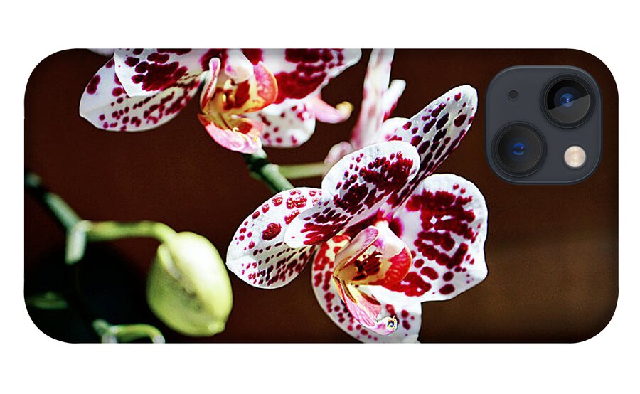 Orchid iPhone 13 Case featuring the photograph Spotted Purple Orchid by Ramona Matei