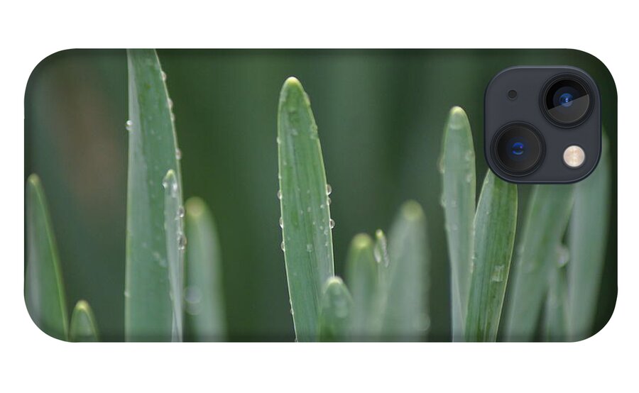 Water iPhone 13 Case featuring the photograph Spring Rain by Heather E Harman
