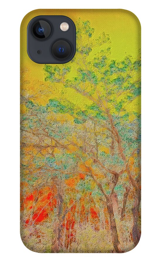 Spring Colors iPhone 13 Case featuring the digital art Springtime Sunset by Kevin Lane