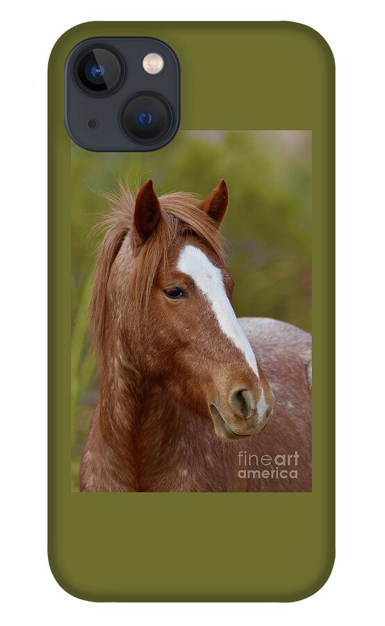 Salt River Wild Horse iPhone 13 Case featuring the digital art Stance by Tammy Keyes