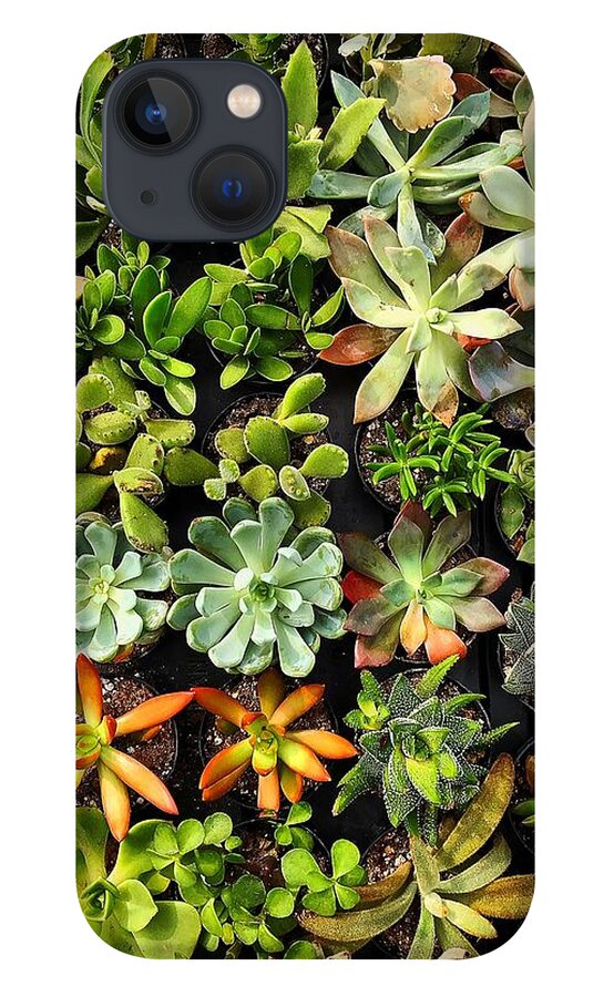  iPhone 13 Case featuring the photograph Succulent by Stephen Dorton