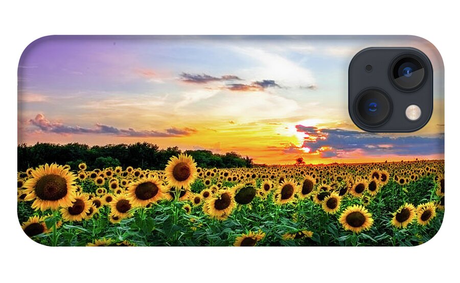 Sunflower iPhone 13 Case featuring the photograph Sunflower Sunset II by KC Hulsman