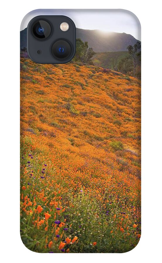 Walker Canyon Poppies iPhone 13 Case featuring the photograph Sunrise Over Poppy Fields by Rebecca Herranen