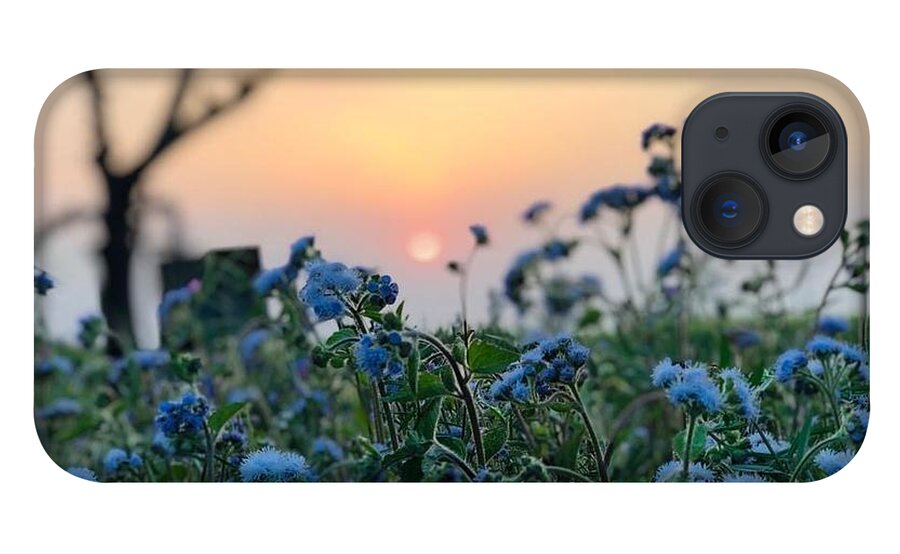 Flowers iPhone 13 Case featuring the photograph Sunset Behind Flowers by Prashant Dalal