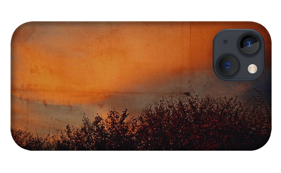 Land iPhone 13 Case featuring the photograph Sunset light by Yasmina Baggili