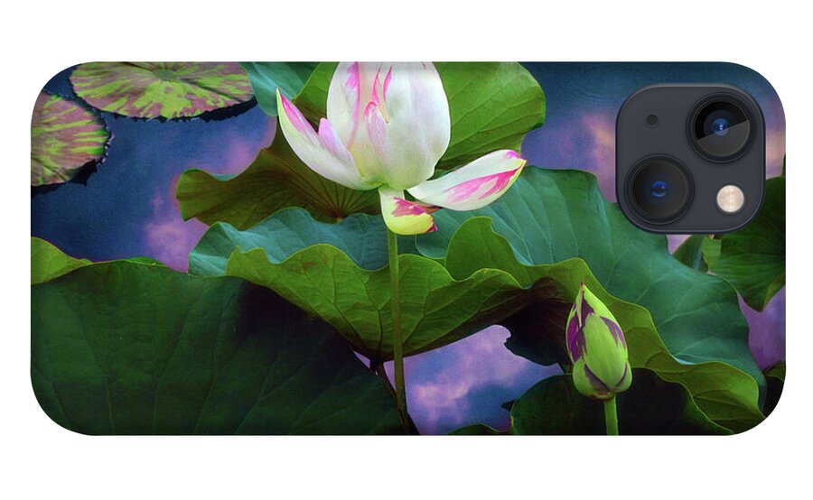 Lotus iPhone 13 Case featuring the photograph Sunset Pond Lotus by Jessica Jenney