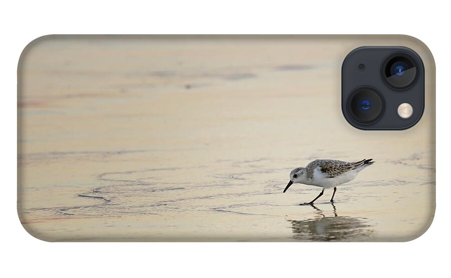 Sandpiper iPhone 13 Case featuring the photograph Sunset Sandpiper by Brad Barton