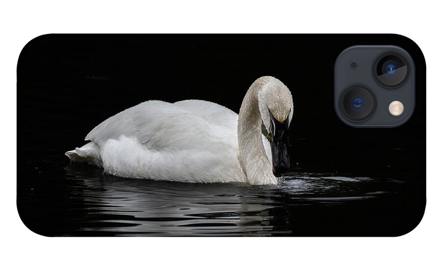Swan iPhone 13 Case featuring the photograph Swan by Jerry Cahill