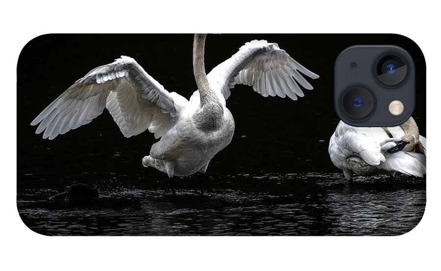 Swans iPhone 13 Case featuring the photograph Swans on the Lake by Jerry Cahill