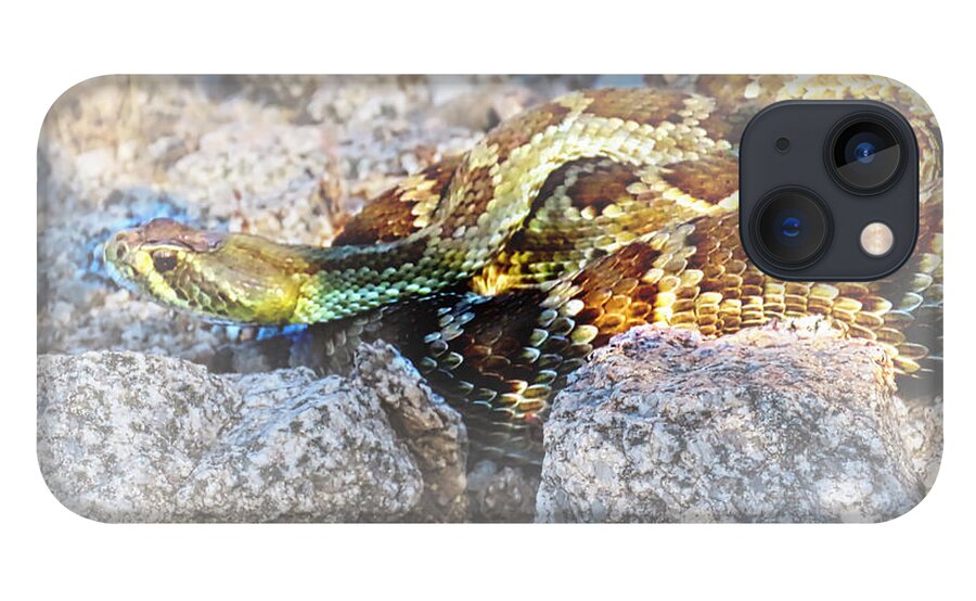 Affordable iPhone 13 Case featuring the photograph Sweet Honey in the Rock by Judy Kennedy