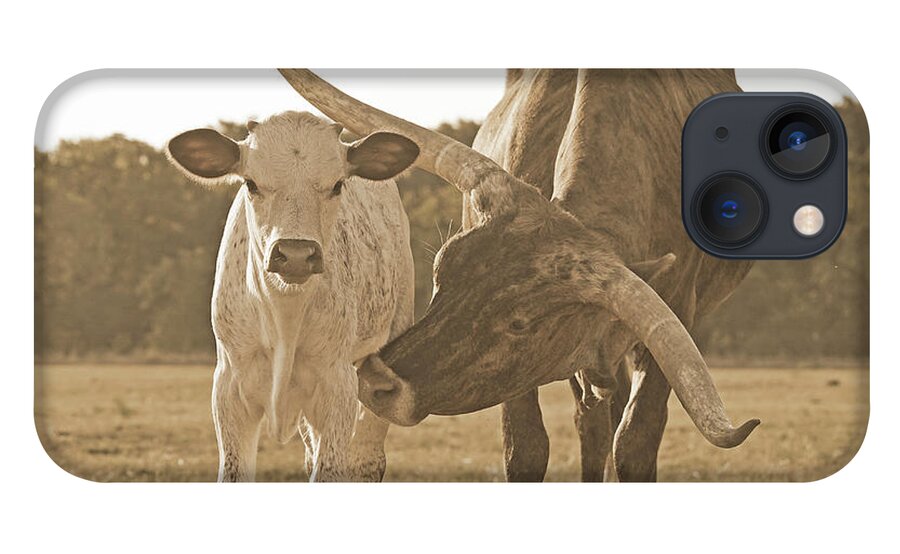 Texas Longhorn Cow Picture iPhone 13 Case featuring the photograph Sweet Pepper- Texas longhorn cow in sepia by Cathy Valle