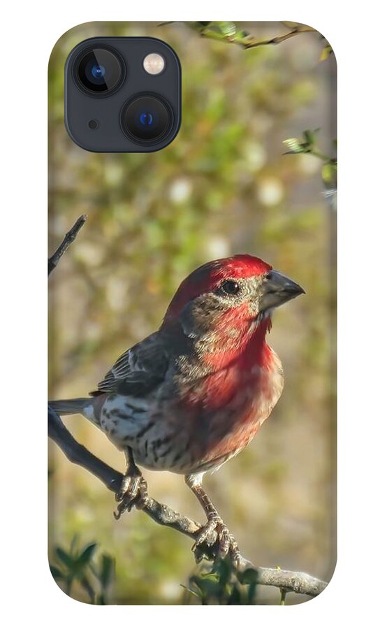 Southwestern Art iPhone 13 Case featuring the photograph Sweet Sun Up by Judy Kennedy