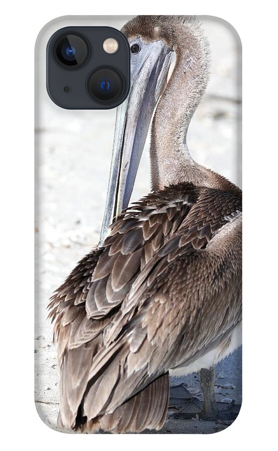 Pelicans iPhone 13 Case featuring the photograph Close Up of Pelican by Mingming Jiang