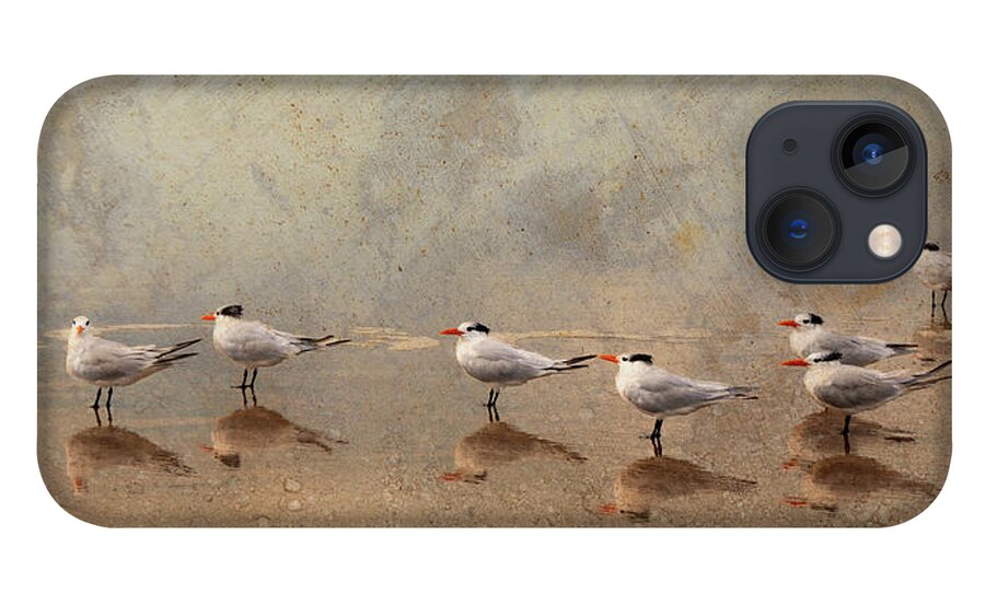 Tern iPhone 13 Case featuring the photograph Tern Beach Meeting by Denise Strahm