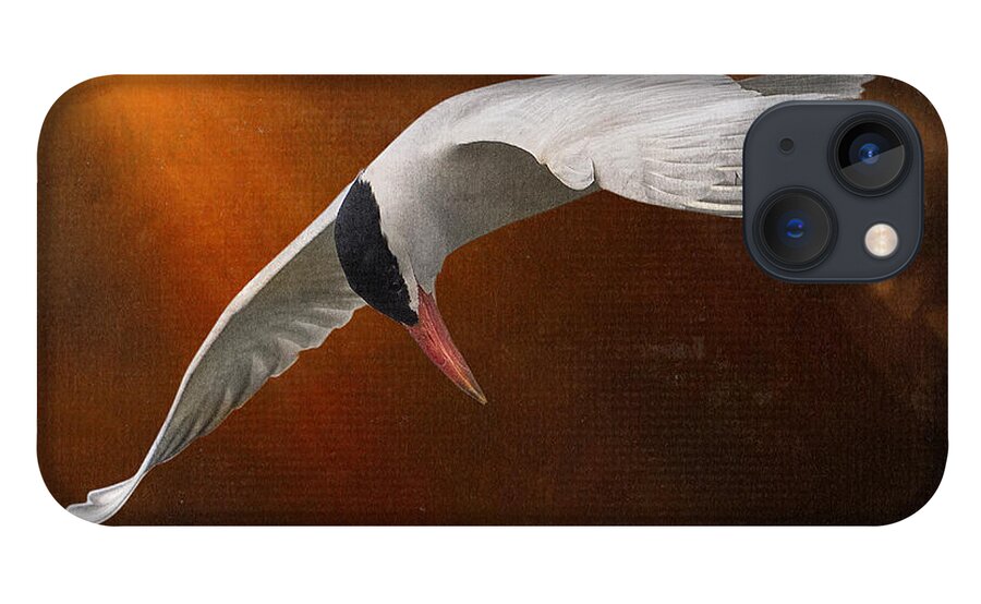 Caspian Tern iPhone 13 Case featuring the photograph Terned Into Art by Sandra Rust