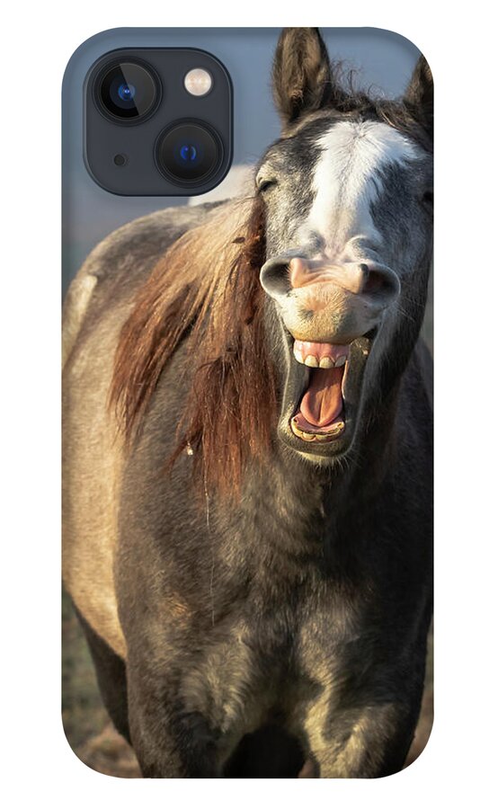 Horse iPhone 13 Case featuring the photograph That's a Good One by Holly Ross