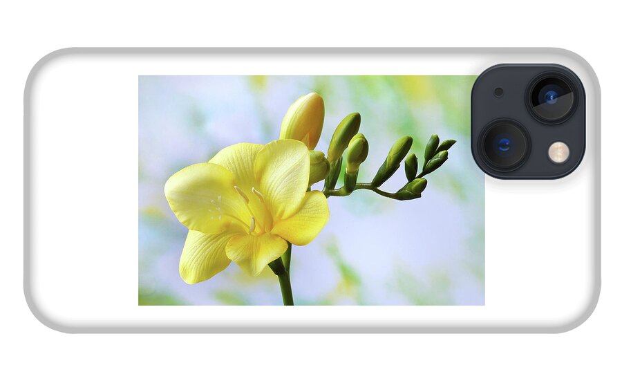Freesia iPhone 13 Case featuring the photograph The Beauty Of Freesia by Terence Davis